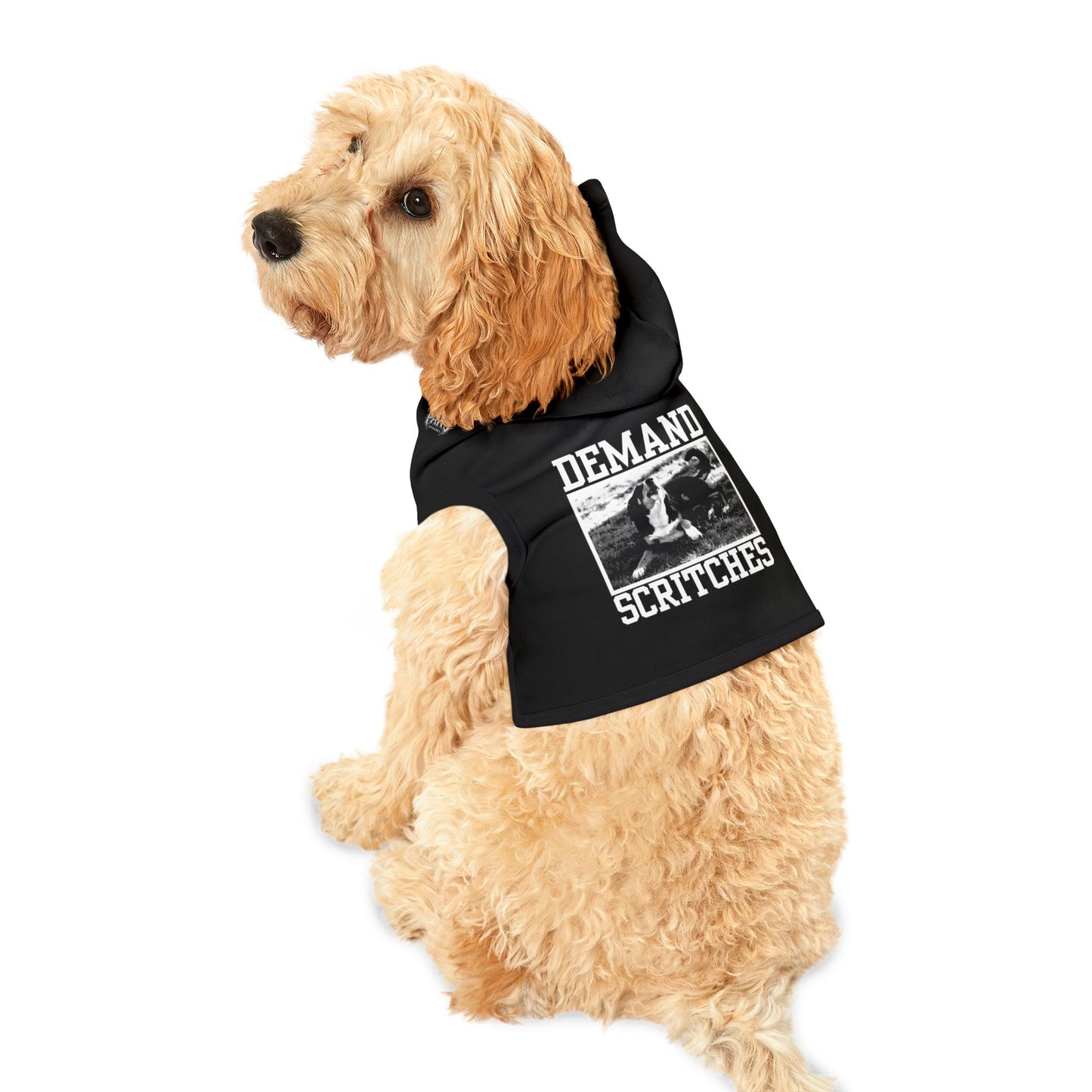 DEMAND SCRITCHES - BLACK - Pet Hoodie