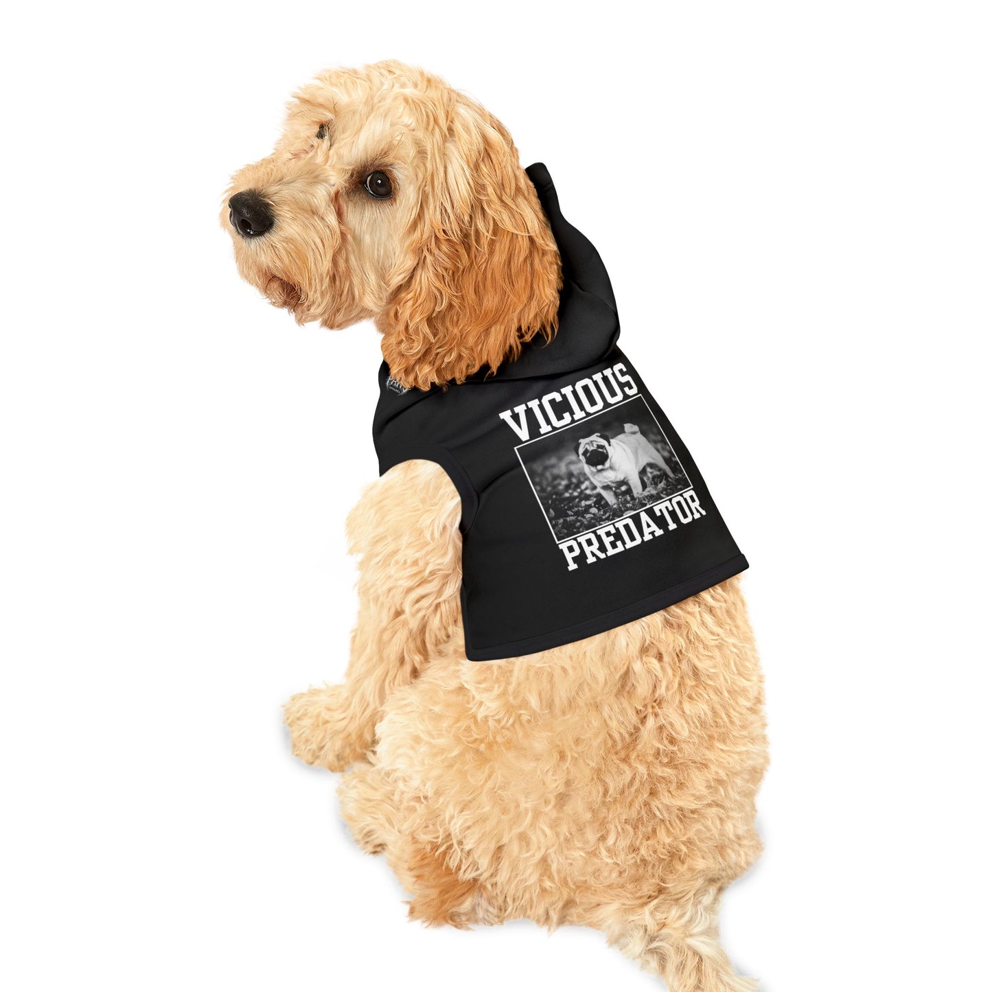 VICIOUS PREDATOR - BLACK - Pet Hoodie