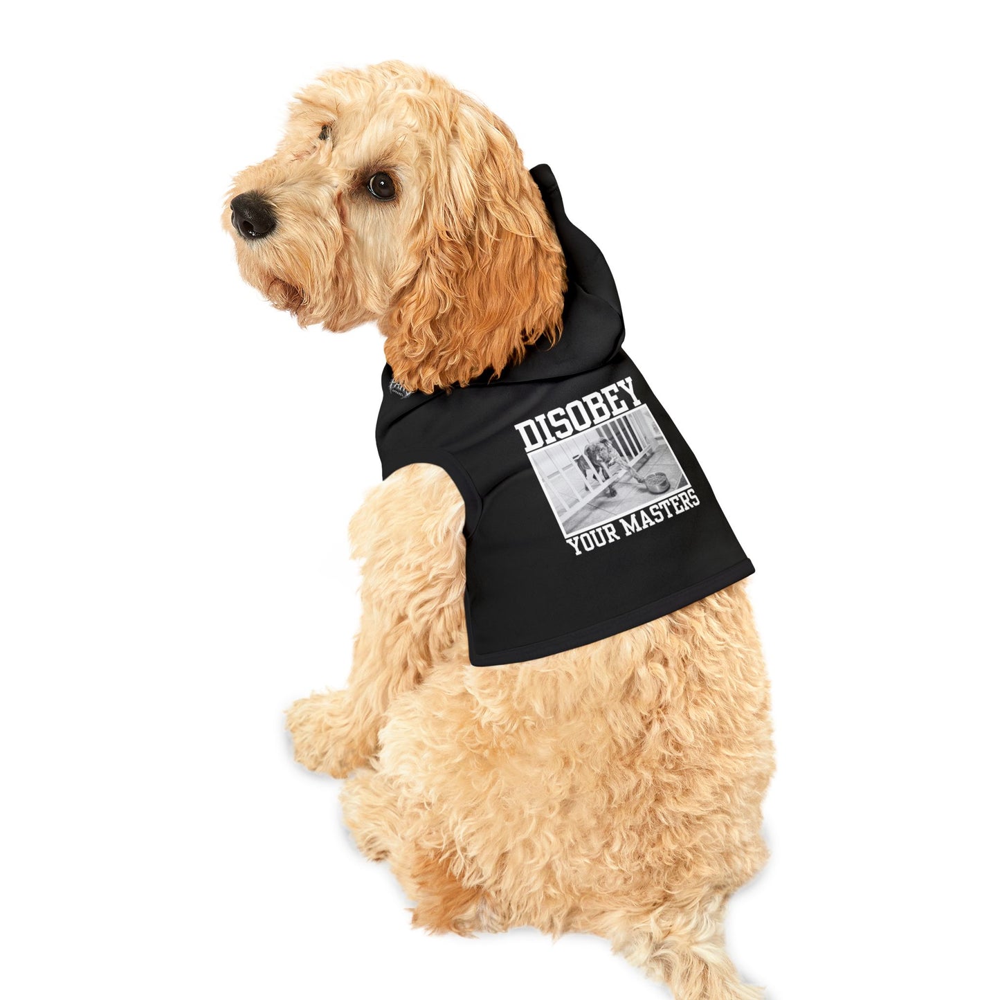 DISOBEY YOUR MASTERS - BLACK - Pet Hoodie